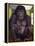 800 Pound Gorilla-Leah Saulnier-Framed Premier Image Canvas