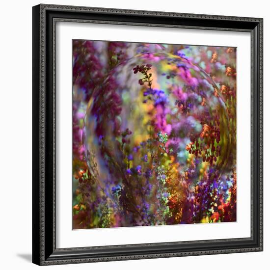 8132_Colors from the sun-Heidi Westum-Framed Photographic Print