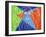 8G-Pierre Henri Matisse-Framed Giclee Print