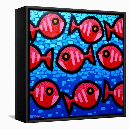 9 Happy Fish-John Nolan-Framed Premier Image Canvas