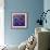 9 Happy Fish-John Nolan-Framed Giclee Print displayed on a wall