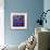 9 Happy Fish-John Nolan-Framed Giclee Print displayed on a wall