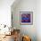 9 Happy Fish-John Nolan-Framed Giclee Print displayed on a wall