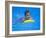 9 Year Old Boy Swimming in Pool, Kiamesha Lake, New York, USA-Paul Sutton-Framed Photographic Print