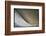 90 Meter Ski Jump During the 1972 Olympics-John Dominis-Framed Photographic Print