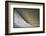 90 Meter Ski Jump During the 1972 Olympics-John Dominis-Framed Photographic Print