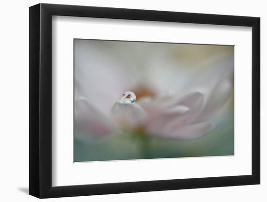 9022_Touch me with your softness-Heidi Westum-Framed Photographic Print