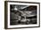 964-Stephen Arens-Framed Photographic Print