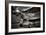 964-Stephen Arens-Framed Photographic Print