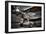 964-Stephen Arens-Framed Photographic Print