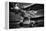 964-Stephen Arens-Framed Premier Image Canvas