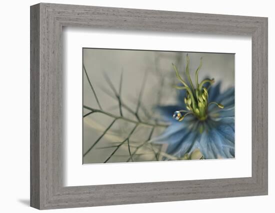 9699_Keep me-Heidi Westum-Framed Photographic Print