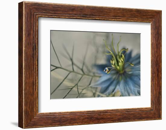 9699_Keep me-Heidi Westum-Framed Photographic Print