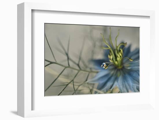 9699_Keep me-Heidi Westum-Framed Photographic Print