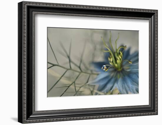 9699_Keep me-Heidi Westum-Framed Photographic Print