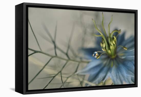 9699_Keep me-Heidi Westum-Framed Premier Image Canvas