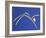 9CO-Pierre Henri Matisse-Framed Giclee Print