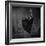 ***-Constantin Shestopalov-Framed Photographic Print