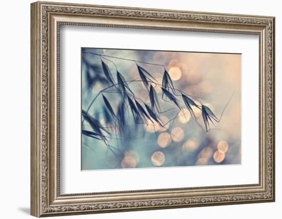 ...<<<-Dimitar Lazarov-Framed Photographic Print