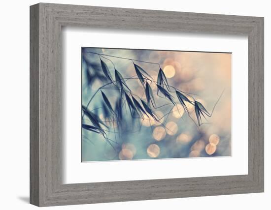 ...<<<-Dimitar Lazarov-Framed Photographic Print