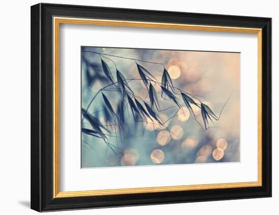 ...<<<-Dimitar Lazarov-Framed Photographic Print