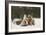 *-Olga Barantseva-Framed Giclee Print