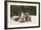 *-Olga Barantseva-Framed Giclee Print