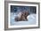 *-Olga Barantseva-Framed Giclee Print