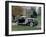 A 1931 Duesenberg J-null-Framed Photographic Print