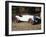 A 1933 Aston Martin Le Mans Car-null-Framed Photographic Print