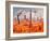 A 1950s Style Scene Showing a Rocketship On a Red Planet-Stocktrek Images-Framed Photographic Print