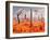 A 1950s Style Scene Showing a Rocketship On a Red Planet-Stocktrek Images-Framed Photographic Print