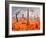 A 1950s Style Scene Showing a Rocketship On a Red Planet-Stocktrek Images-Framed Photographic Print