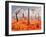 A 1950s Style Scene Showing a Rocketship On a Red Planet-Stocktrek Images-Framed Photographic Print