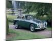 Premium Photographic Print
