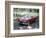 A 1955 Ford Thunderbird-Unknown-Framed Photographic Print