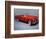 A 1955 Ford Thunderbird-Unknown-Framed Photographic Print