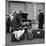 A 1961 Austin Westminster Being Loaded with Luggage on Amsterdam Docks, Netherlands 1963-Michael Walters-Mounted Photographic Print