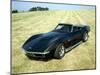 A 1969 Chevrolet Corvette Stingray in a Field-null-Mounted Photographic Print