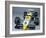 A 1984 Williams Fw09B-null-Framed Photographic Print