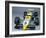 A 1984 Williams Fw09B-null-Framed Photographic Print