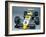 A 1984 Williams Fw09B-null-Framed Photographic Print