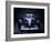 A 1996 Williams-Renault FW18-null-Framed Photographic Print