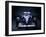 A 1996 Williams-Renault FW18-null-Framed Photographic Print