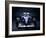 A 1996 Williams-Renault FW18-null-Framed Photographic Print