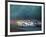 a- 24 Heures du Mans-Victor Spahn-Framed Premium Edition