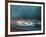 a- 24 Heures du Mans-Victor Spahn-Framed Premium Edition