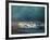 a- 24 Heures du Mans-Victor Spahn-Framed Premium Edition