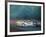 a- 24 Heures du Mans-Victor Spahn-Framed Premium Edition