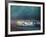 a- 24 Heures du Mans-Victor Spahn-Framed Premium Edition